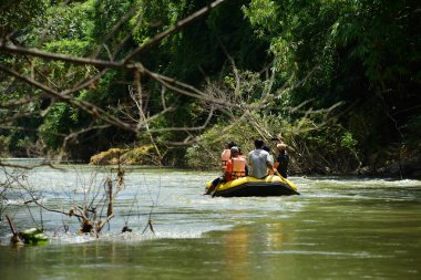 Tayland - 6 Ekim 2019: Bir grup turist yeşil ormanda nehirde kayak yapıyor. 
