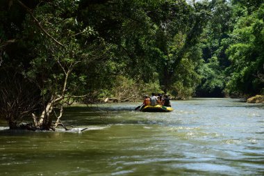 Tayland - 6 Ekim 2019: Bir grup turist yeşil ormanda nehirde kayak yapıyor. 