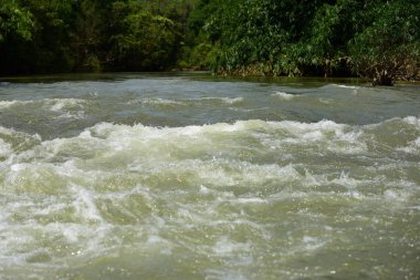 Nehirde kürek grubu, 