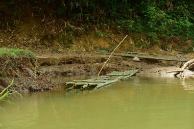 Nehirde kürek grubu, 