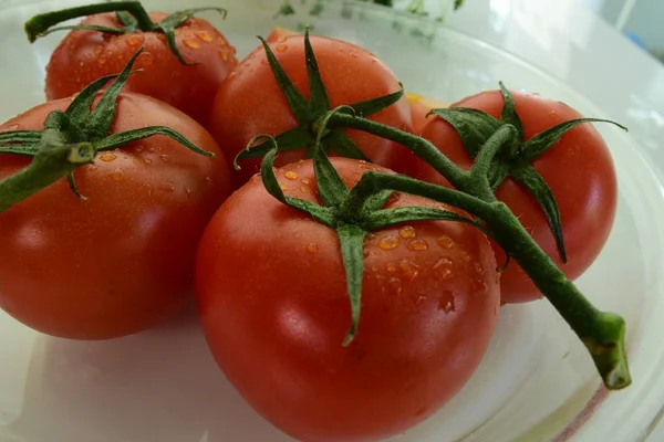 Close Ripe Fresh Tomatoes Plate — ストック写真
