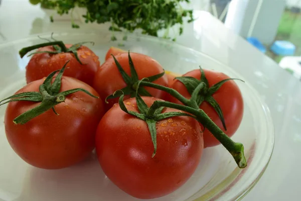 Nahaufnahme Von Reifen Frischen Tomaten Auf Dem Teller — Stockfoto