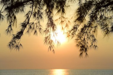 Sabah kumsalda güneş doğuyor.