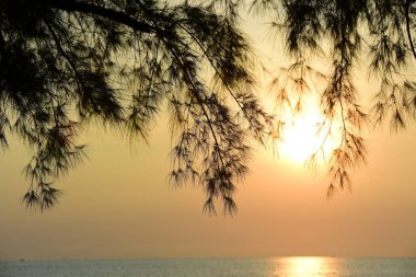 Tayland 'daki Dhammakaya Tapınağı için büyük bir yapı. Yapım aşamasındaki endüstriyel gri beton bina. Terk edilmiş bina iç mimarisi..