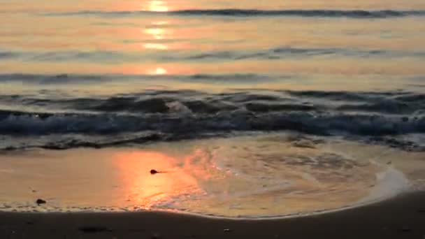 Heldere Zonsondergang Aan Zee Kleurrijke Natuur — Stockvideo