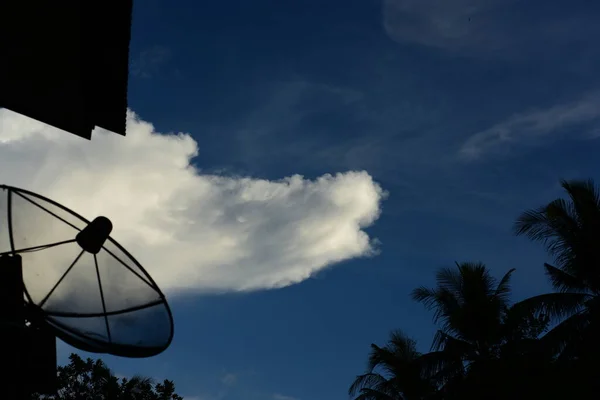 Tanaman Tropis Dengan Atap Bangunan Latar Langit — Stok Foto