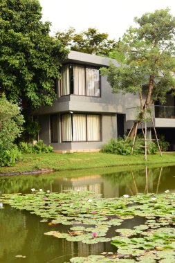 Nilüfer çiçekleri olan modern bir ev.