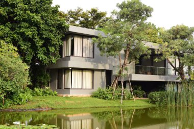 Nilüfer çiçekleri olan modern bir ev.