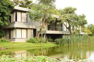 Nilüfer çiçekleri olan modern bir ev.