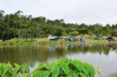 Parktaki gölün güzel manzarası