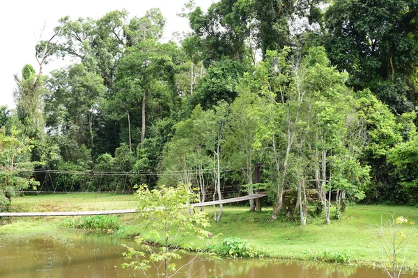 Bela Vista Ponte Sobre Rio Parque — Fotografia de Stock