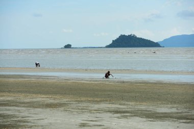 Kumlu sahil manzarası ve Tayland, Trang 'daki plaj manzarası