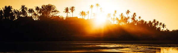 Răsărit de soare peste palmieri — Fotografie, imagine de stoc