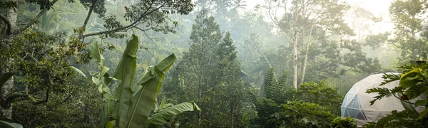 선로즈에서 정글 캠핑 — 스톡 사진