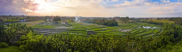 Рисові тераси на сході сонця — стокове фото