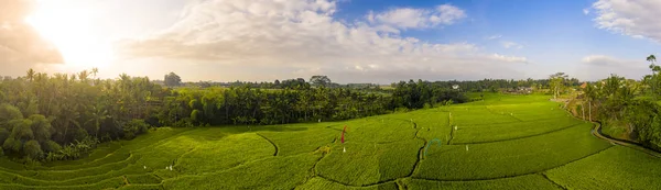 Terrazas de arroz al amanecer — Foto de Stock
