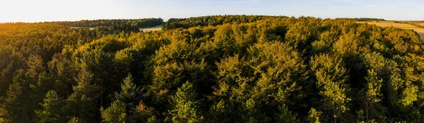 Bosque de otoño al amanecer —  Fotos de Stock