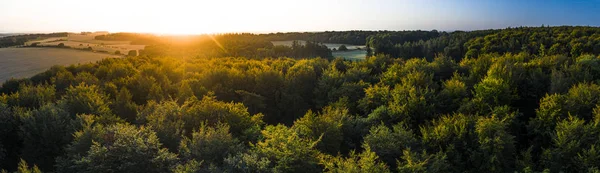 Pădurea de toamnă la răsărit — Fotografie, imagine de stoc