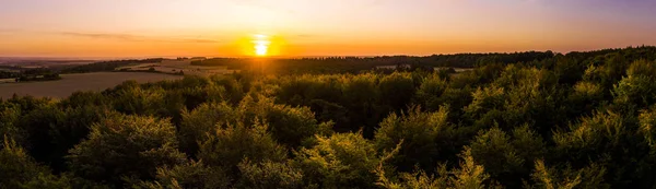 Foresta autunnale all'alba — Foto Stock