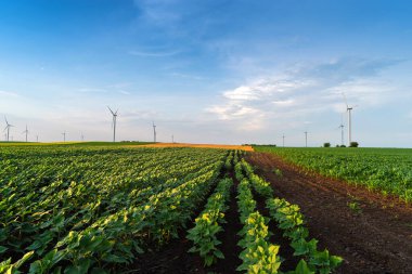 Günbatımında rüzgar tarlası türbinleri ve jeneratörleriyle yenilenebilir enerji, güzel manzara. 