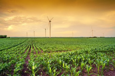 Günbatımında rüzgar tarlası türbinleri ve jeneratörleriyle yenilenebilir enerji, güzel manzara. 