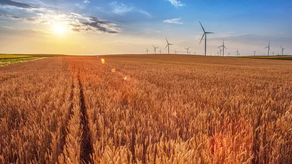 Renewable energy with wind farm turbines and generators in the sunset, beautiful landscape