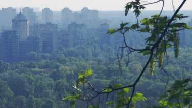 Yoğun orman tepe örtüsünün içinden yükselen Kyiv yerleşim alanı, yaz sabahı güneşi altında yeşil ağaçların ve dallanan yaprakların ardında saklı olan kentsel manzarayı ortaya çıkarıyor.