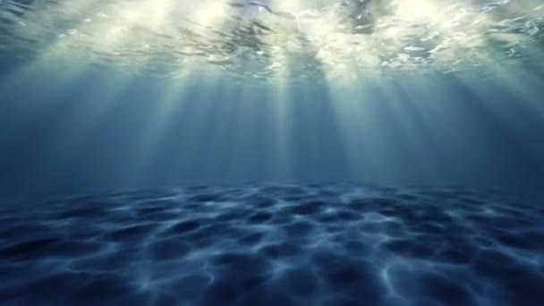Okyanus Alt Yüzeyin Altında Görünümü — Stok video