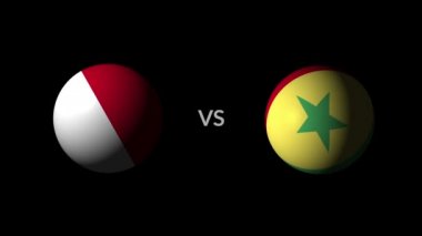 Polonya vs Senegal futbol yarışması, milli takımlar