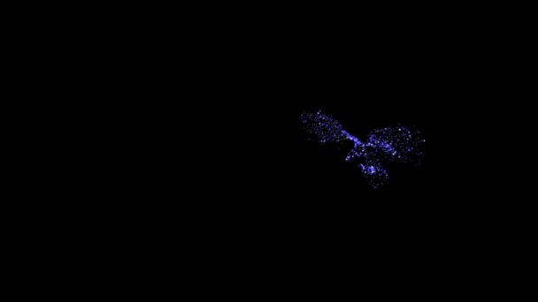 在黑色背景上的飞鹰 由粒子创建的剪影 — 图库视频影像