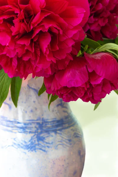 Pencerede seramik vazoda parlak pembe şakayıklardan oluşan güzel romantik bir buket. Çiçek parçası