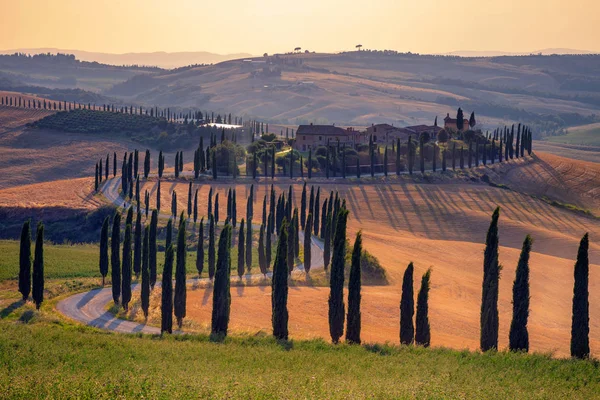 Tuscany Afbeelding Van Tuscany Landschap Tijdens Zomer Zonsondergang — Stockfoto