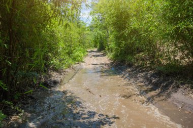 Çamurlu toprak yol gizemli vahşi, Phu şarkı, Bueng Kan, Tayland
