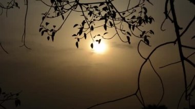 bir gün batımı bir fon rüzgarda sallanan ağaçlar