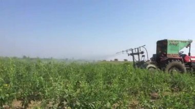 Pestisit Toor Dal için veya güvercin bezelye ağaçlar traktör o kullanarak çiftçi zararlıları Karnataka, Hindistan saldırılara karşı koruma.