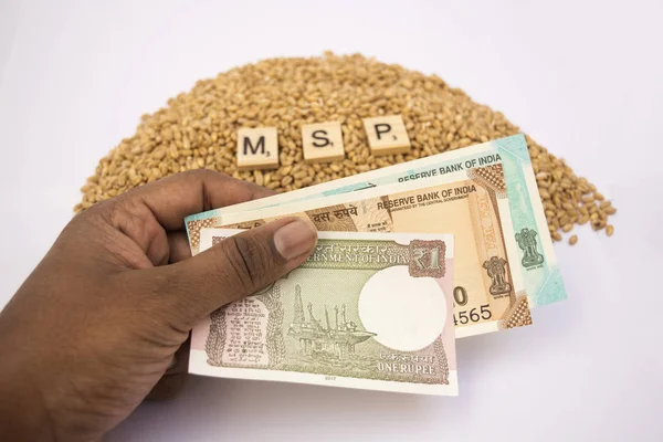 Maski, Karnataka, Indie - stycznia 19,2019: koncepcja Msp lub minimalnej ceny wsparcia drewniana blokuje na stos ziaren wheet rękami trzymając indyjskiej waluty na na białym tle. — Zdjęcie stockowe