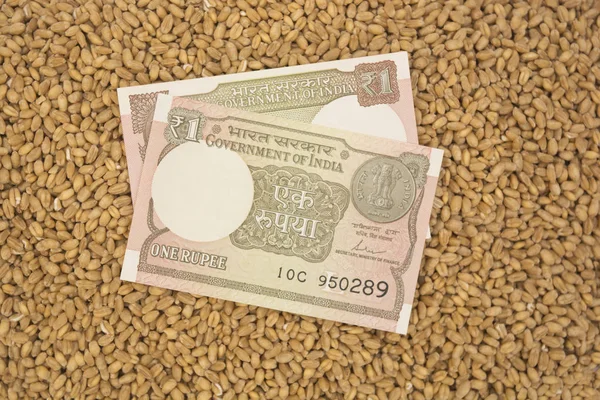 Moneda india sobre la pila de granos de trigo concepto de MSP —  Fotos de Stock