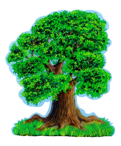 Spreading tree with a wide crown with delicate green leaves against a blue clear sky and green grass. Is isolated. Painted hands gouache. Sticker. Drawing for t-shirt