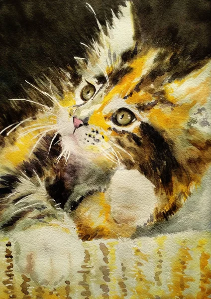 Queen】絵画 CAT 猫 原画 メインクーン BAEZ3 - 絵画