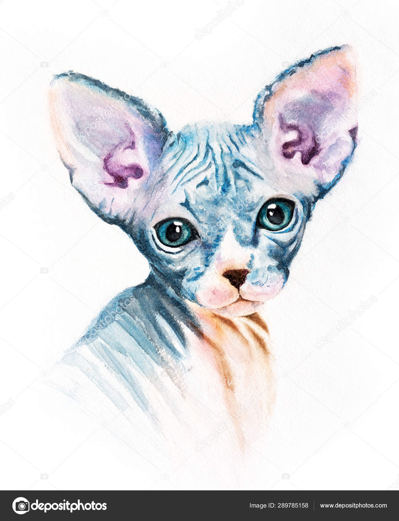 Gato sphynx bonito com olhos dourados pintados com salpicos de cor aquarela  arte digital camiseta de cartão ou desenho de tatuagem flores cor de rosa  ilustração 3d