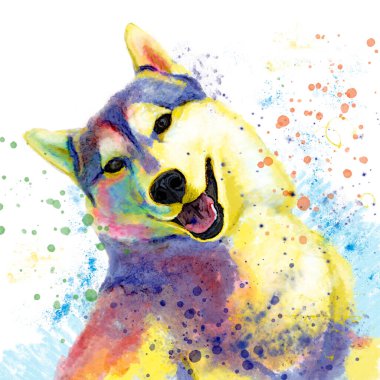 Renkli, iri yapılı, beyaz arka plan, kopyalama alanı, gökkuşağı köpeği