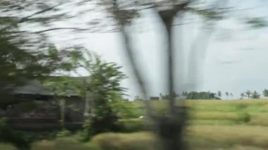 Bali otomobilin penceresinden görüntülemek