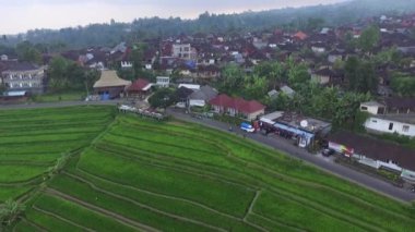 Havadan görünümü: insanlar üzerinde pirinç tarlaları village yakınındaki
