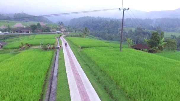 骑自行车去路上的农场 巴厘岛 — 图库视频影像
