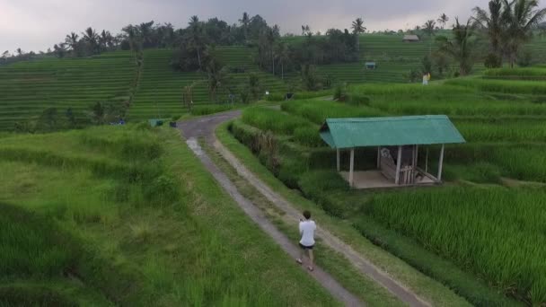 Gente Está Campos Arroz Bali — Vídeo de stock