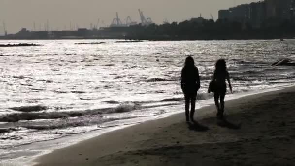 Люди Гуляющие Пляжу Видящие Море — стоковое видео