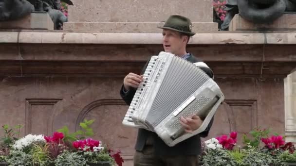 Adult Man Plays Accordion National Costume Musical Quartet Playing Musicians — Stock Video