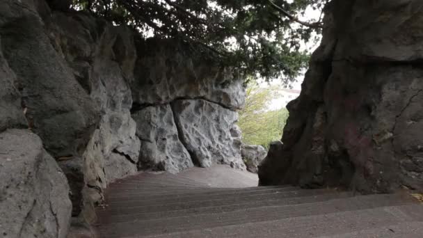 Мужчина Спускается Парк Люди Спускаются Поднимаются Лестнице — стоковое видео