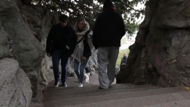 一个人在公园里上去了 人们下楼爬楼梯 — 图库视频影像