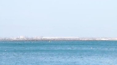 Kuşlar sürüsü içinde üzerinde deniz suyu çok düşük, yabani kuşların göç etmezsin.